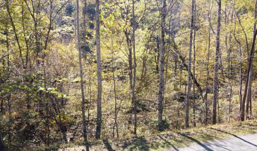 DJI_0699