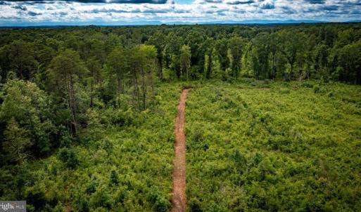 Photo #20 of RITCHIE RD, MIDLAND, VA 30.0 acres