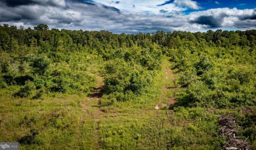 Photo #28 of RITCHIE RD, MIDLAND, VA 30.0 acres