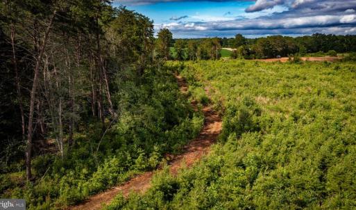 Photo #32 of RITCHIE RD, MIDLAND, VA 30.0 acres
