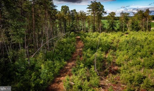 Photo #33 of RITCHIE RD, MIDLAND, VA 30.0 acres