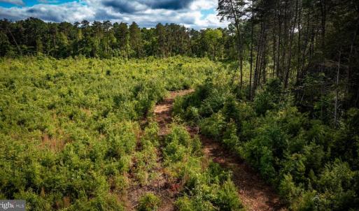 Photo #34 of RITCHIE RD, MIDLAND, VA 30.0 acres