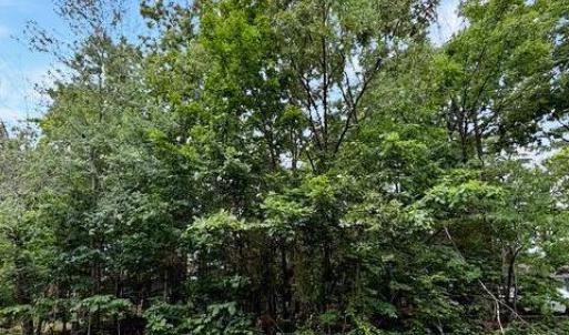 Photo #1 of 604 YORKTOWN BLVD, LOCUST GROVE, VA 0.4 acres
