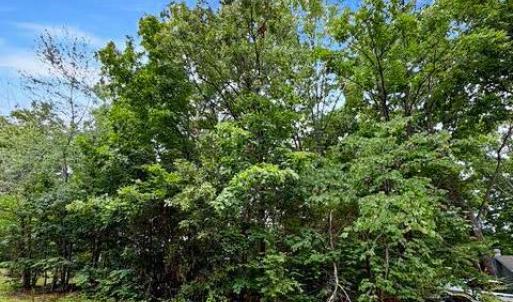 Photo #2 of 604 YORKTOWN BLVD, LOCUST GROVE, VA 0.4 acres
