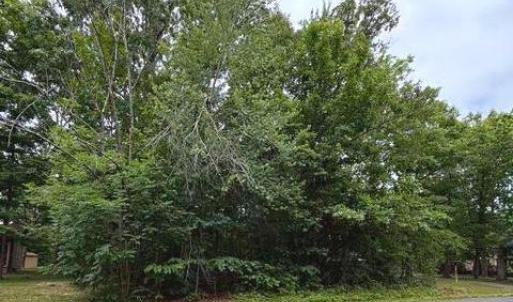 Photo #3 of 604 YORKTOWN BLVD, LOCUST GROVE, VA 0.4 acres