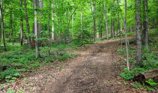Photo #13 of COMPTONS RD, CASTLETON, VA 5.4 acres