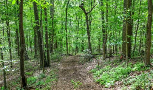 Photo #14 of COMPTONS RD, CASTLETON, VA 5.4 acres
