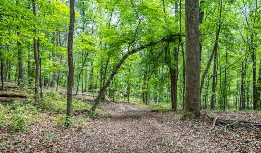 Photo #15 of COMPTONS RD, CASTLETON, VA 5.4 acres