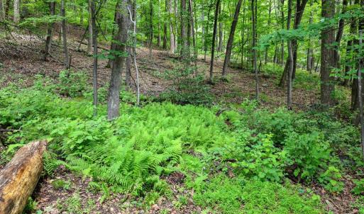 Photo #16 of COMPTONS RD, CASTLETON, VA 5.4 acres