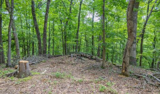 Photo #11 of COMPTONS RD, CASTLETON, VA 5.4 acres
