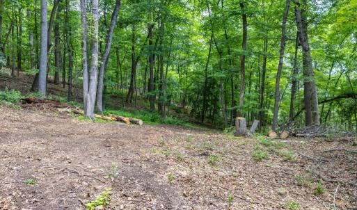 Photo #17 of COMPTONS RD, CASTLETON, VA 5.4 acres
