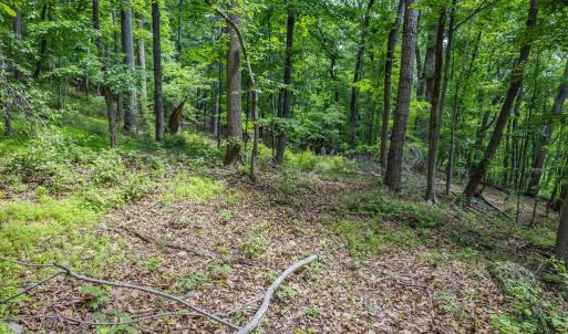 Photo #19 of COMPTONS RD, CASTLETON, VA 5.4 acres