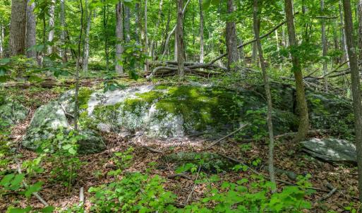 Photo #23 of COMPTONS RD, CASTLETON, VA 5.4 acres