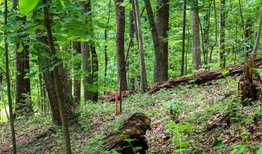 Photo #24 of COMPTONS RD, CASTLETON, VA 5.4 acres