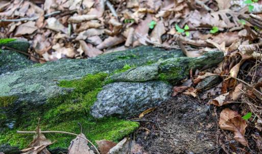 Photo #25 of COMPTONS RD, CASTLETON, VA 5.4 acres
