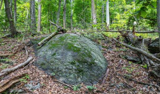 Photo #26 of COMPTONS RD, CASTLETON, VA 5.4 acres