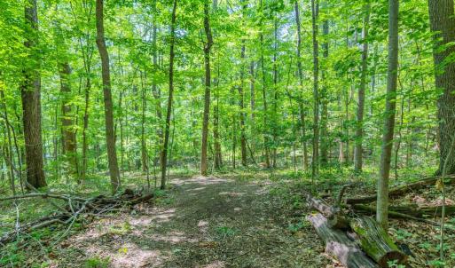 Photo #29 of COMPTONS RD, CASTLETON, VA 5.4 acres