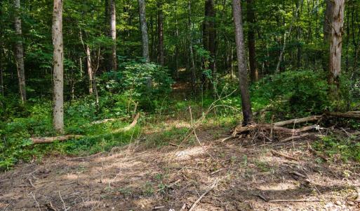 Photo #6 of US HWY 340 S, STANLEY, VA 4.7 acres