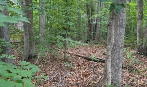 Photo #5 of 15413 DRUMMERS LN, ORANGE, VA 2.5 acres