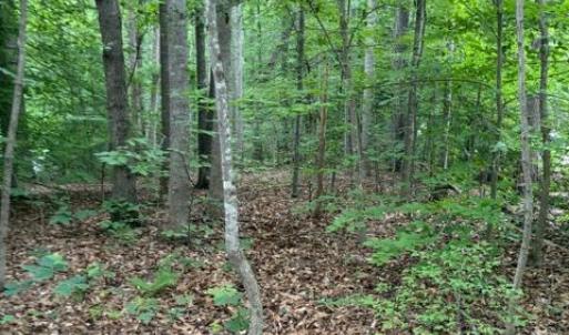 Photo #6 of 15413 DRUMMERS LN, ORANGE, VA 2.5 acres