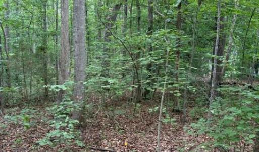 Photo #7 of 15413 DRUMMERS LN, ORANGE, VA 2.5 acres