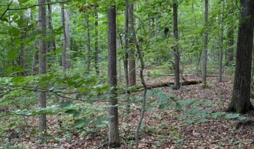 Photo #1 of 15413 DRUMMERS LN, ORANGE, VA 2.5 acres