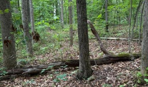 Photo #9 of 15413 DRUMMERS LN, ORANGE, VA 2.5 acres