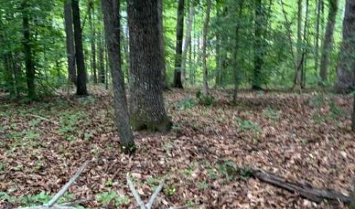 Photo #10 of 15413 DRUMMERS LN, ORANGE, VA 2.5 acres