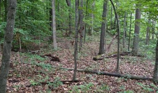 Photo #12 of 15413 DRUMMERS LN, ORANGE, VA 2.5 acres