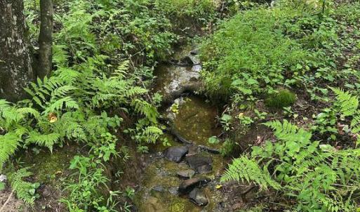 Photo #7 of MOUNT NEBO CHURCH RD, MARSHALL, VA 2.9 acres