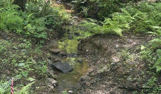 Photo #8 of MOUNT NEBO CHURCH RD, MARSHALL, VA 2.9 acres