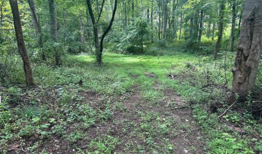 Photo #9 of MOUNT NEBO CHURCH RD, MARSHALL, VA 2.9 acres
