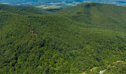 Photo #11 of DOVEL HOLLOW RD, STANLEY, VA 169.4 acres