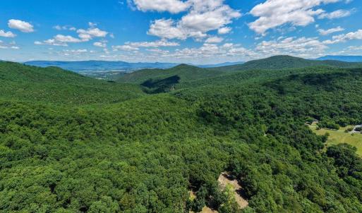 Photo #19 of DOVEL HOLLOW RD, STANLEY, VA 169.4 acres