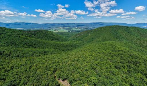 Photo #20 of DOVEL HOLLOW RD, STANLEY, VA 169.4 acres
