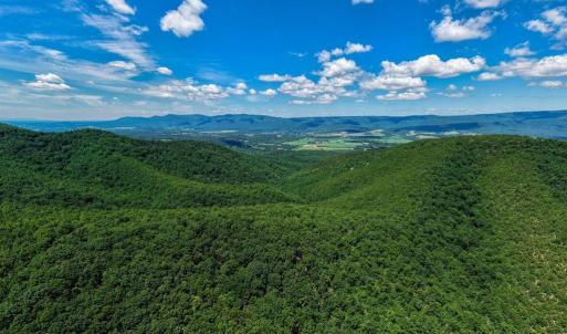 Photo #21 of DOVEL HOLLOW RD, STANLEY, VA 169.4 acres