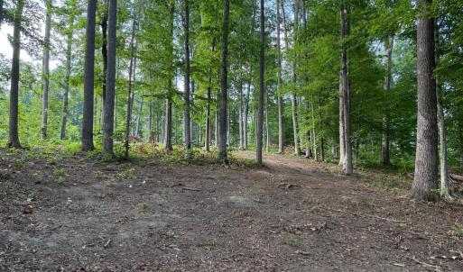 Photo #6 of 268 COMPASS COVE, MINERAL, VA 1.0 acres