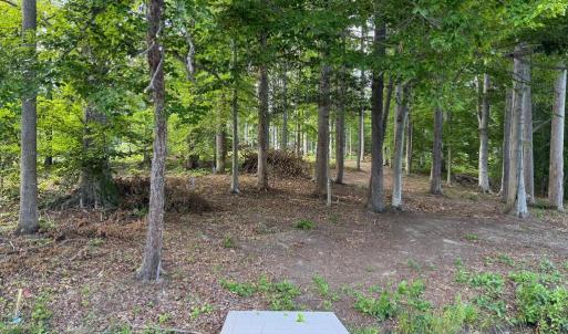 Photo #11 of 268 COMPASS COVE, MINERAL, VA 1.0 acres