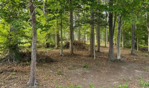 Photo #12 of 268 COMPASS COVE, MINERAL, VA 1.0 acres