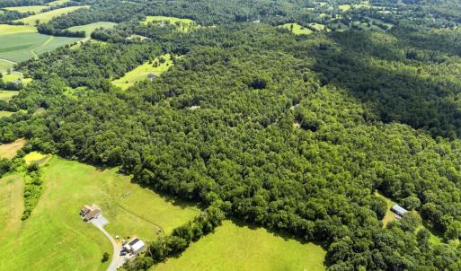 Photo #7 of COUNTRY CREEK LN, AMISSVILLE, VA 14.0 acres