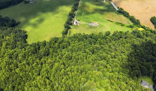 Photo #8 of COUNTRY CREEK LN, AMISSVILLE, VA 14.0 acres