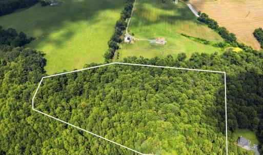 Photo #9 of COUNTRY CREEK LN, AMISSVILLE, VA 14.0 acres