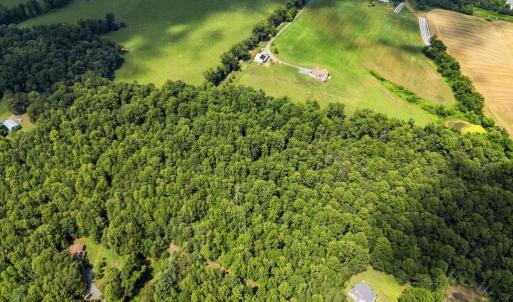 Photo #10 of COUNTRY CREEK LN, AMISSVILLE, VA 14.0 acres