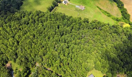 Photo #11 of COUNTRY CREEK LN, AMISSVILLE, VA 14.0 acres