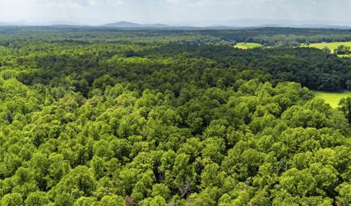 Photo #12 of COUNTRY CREEK LN, AMISSVILLE, VA 14.0 acres