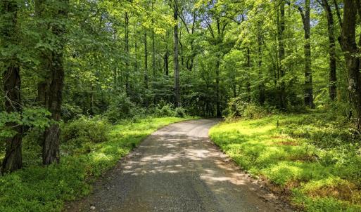 Photo #13 of COUNTRY CREEK LN, AMISSVILLE, VA 14.0 acres