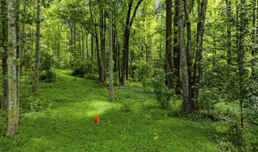 Photo #14 of COUNTRY CREEK LN, AMISSVILLE, VA 14.0 acres