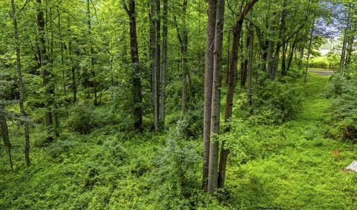 Photo #17 of COUNTRY CREEK LN, AMISSVILLE, VA 14.0 acres