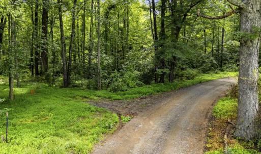 Photo #19 of COUNTRY CREEK LN, AMISSVILLE, VA 14.0 acres