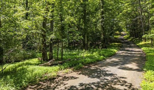 Photo #20 of COUNTRY CREEK LN, AMISSVILLE, VA 14.0 acres